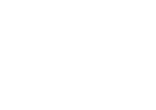 Level 5 Mentoring
