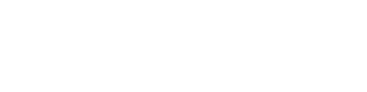 Level5Logo